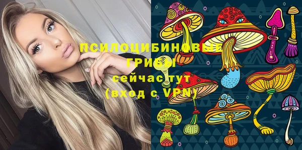 дурь Алзамай