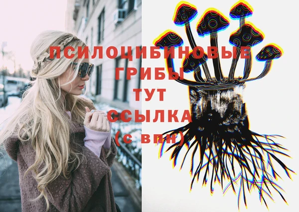 гашик Абаза