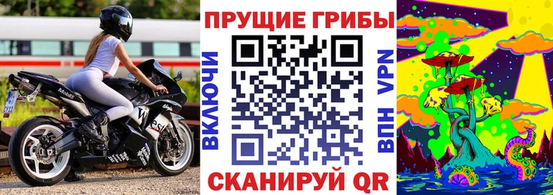 продажа наркотиков  Шумерля  Галлюциногенные грибы Magic Shrooms 